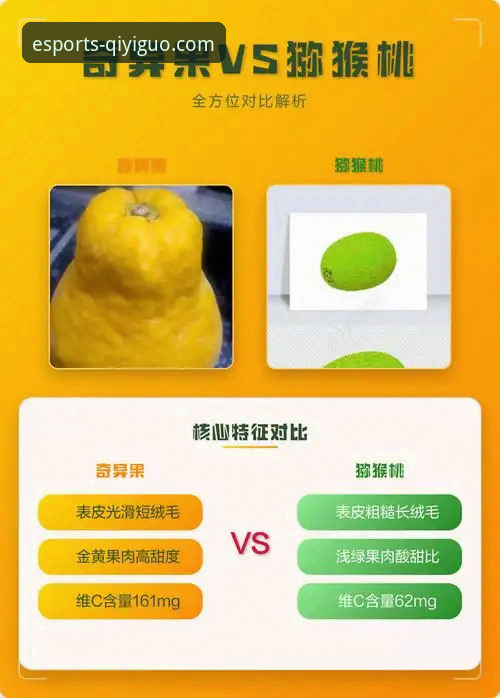 奇异果买球稳定吗 vs 其他平台：实战派用户亲测对比分析