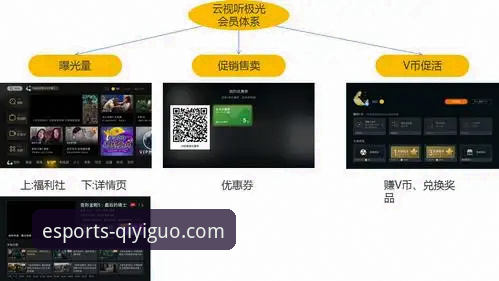奇异果买球赔率查询功能全面评测：实时数据、赛事分析与用户体验深度解析